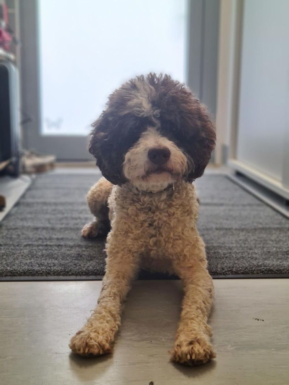 Arya