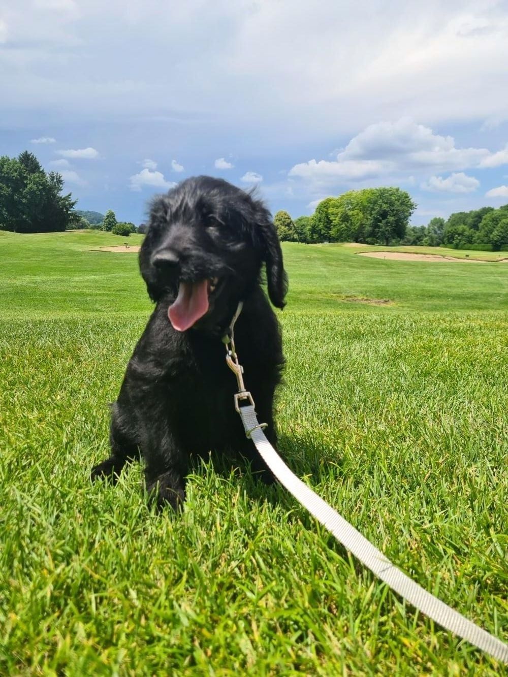 Baby Lotti am Golfplatz