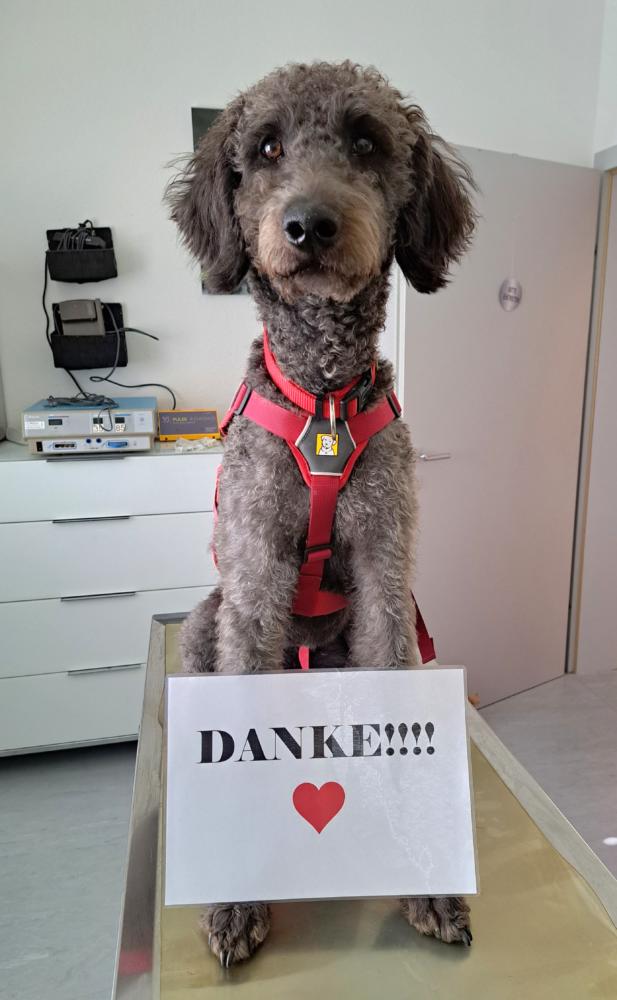 Bailey sagt "Danke"