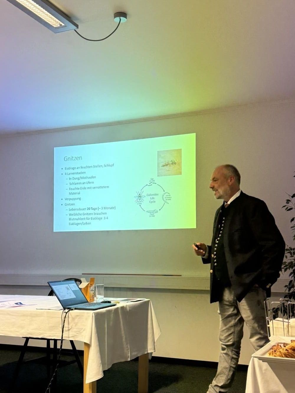 Ein Mann steht vor einer Präsentationsleinwand und präsentiert Informationen