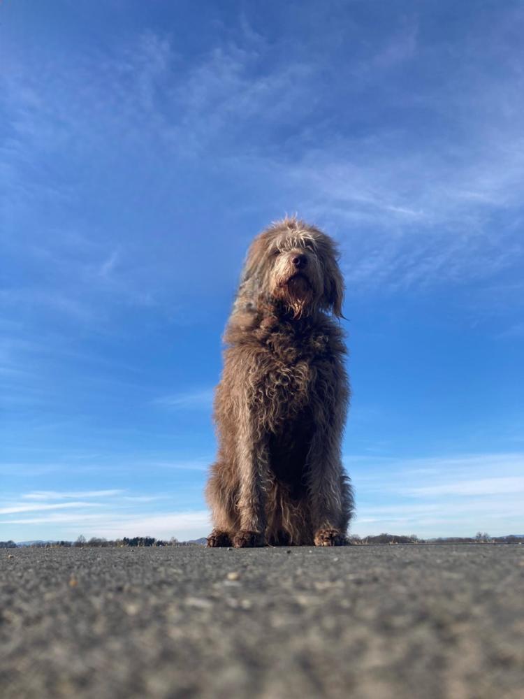 Schoki vor Himmel